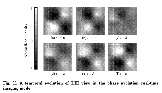 eLXg {bNX:  

Fig. 11 A temporal evolution of LEI view in the phase evolution real-time imaging mode. 
