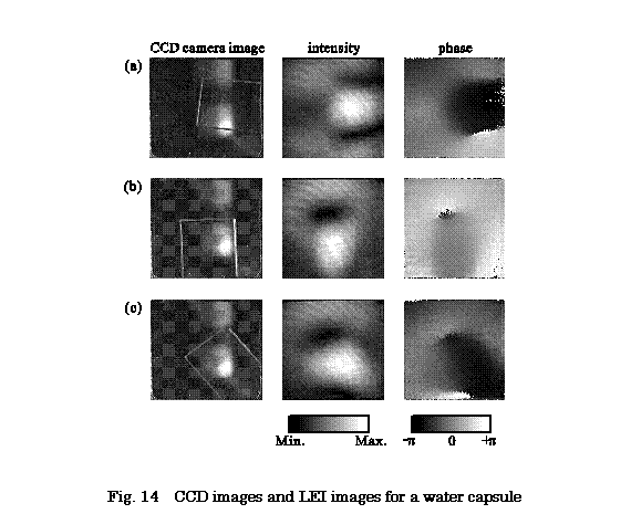 eLXg {bNX:  

Fig. 14  CCD images and LEI images for a water capsule
