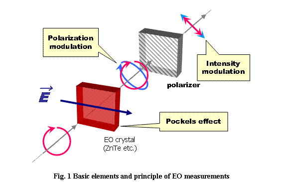 eLXg {bNX:  

Fig. 2 Basic elements and principle of EO measurements
